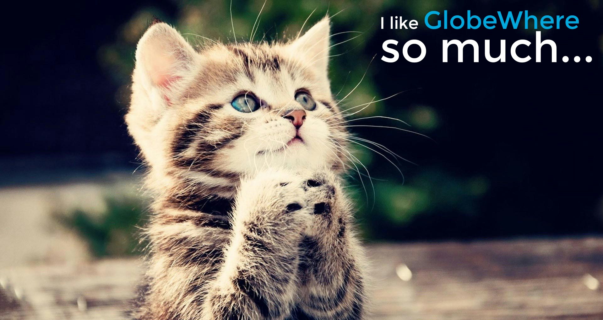 GlobeWhere gallery image