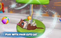 Kitty Crash: Cat Simulator Game media 3
