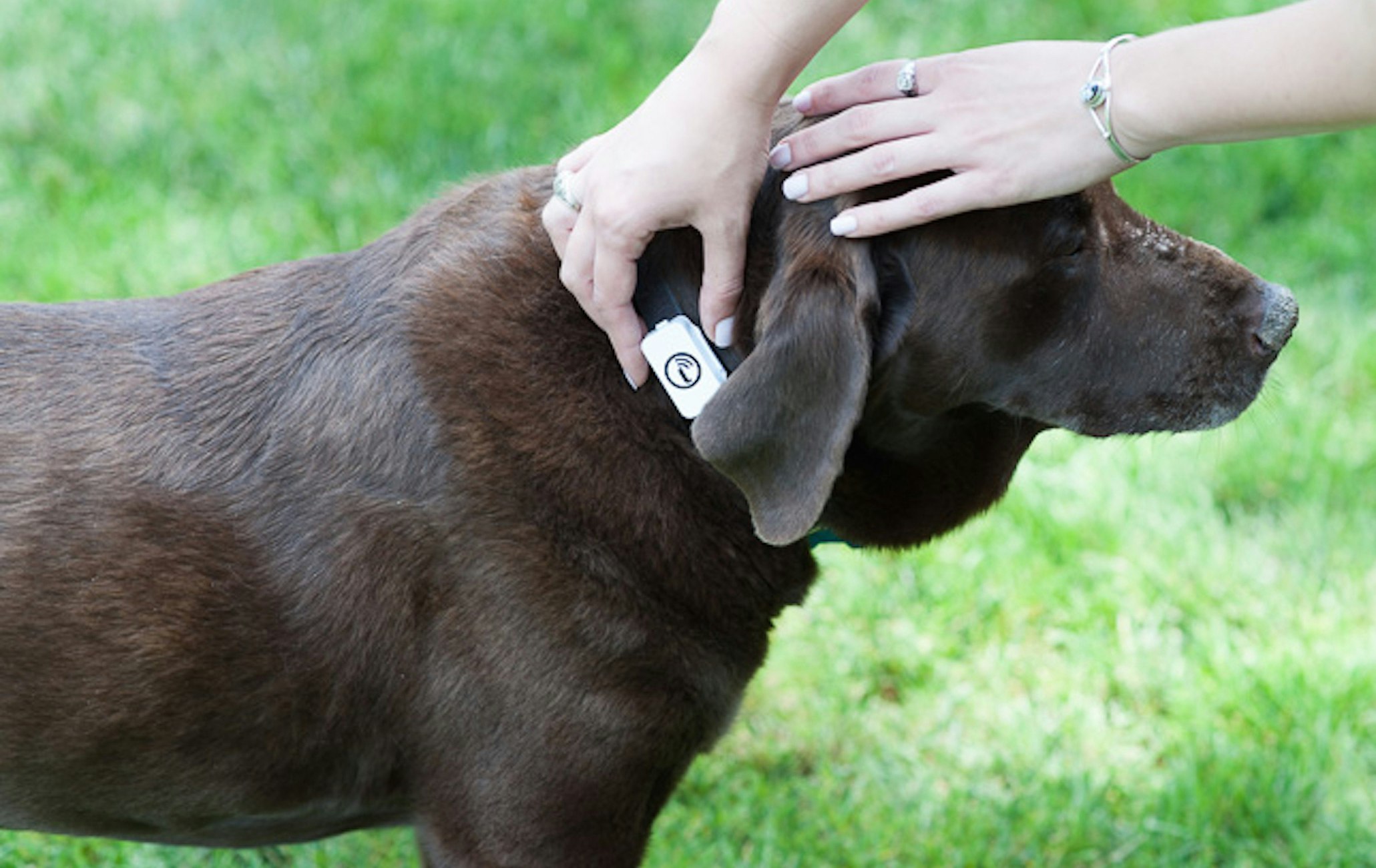 Iota GPS tracker gallery image