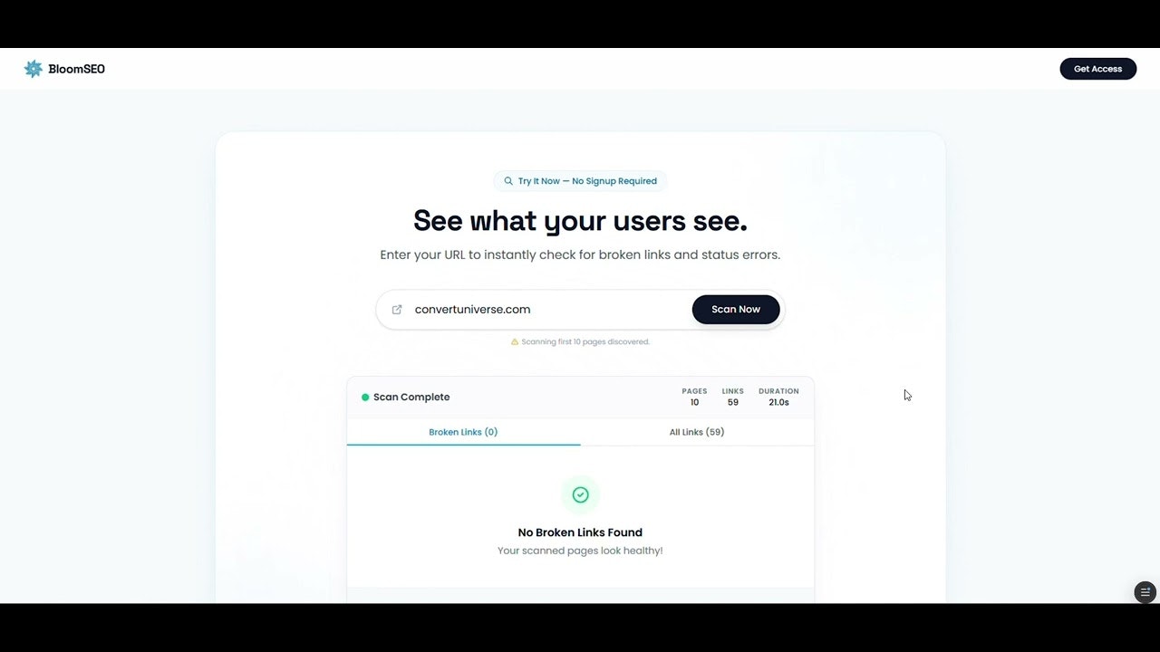 BloomSEO gallery image