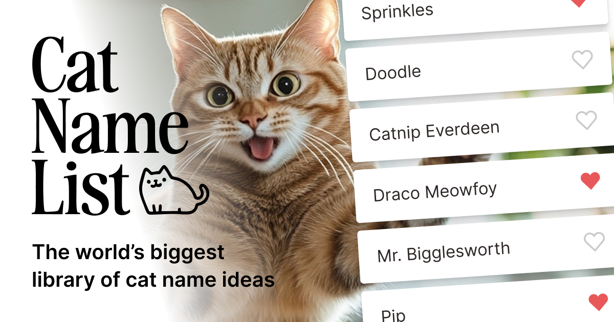 1,200个分类的猫名称 - 轻松保存您喜欢的猫名的列表媒体1