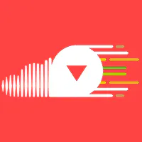 Social video downloader