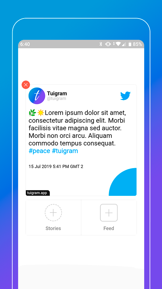 Tuigram gallery image