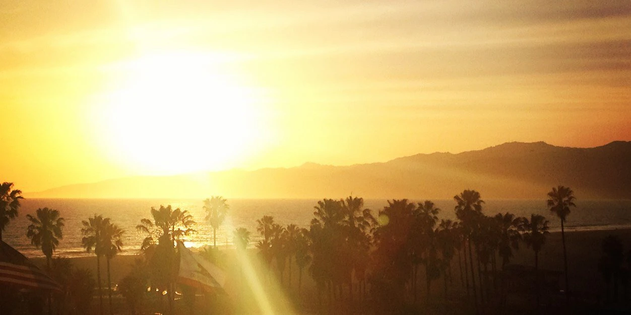 Cara Whitehill cover