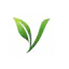 Vyla - IBS Tracker
