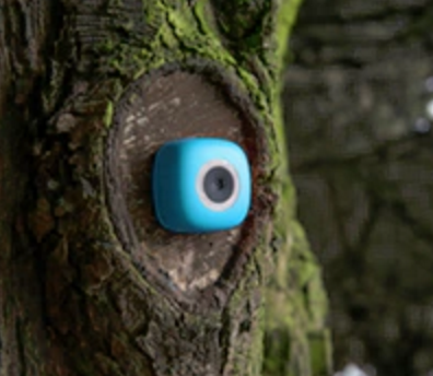 Podo Camera Image