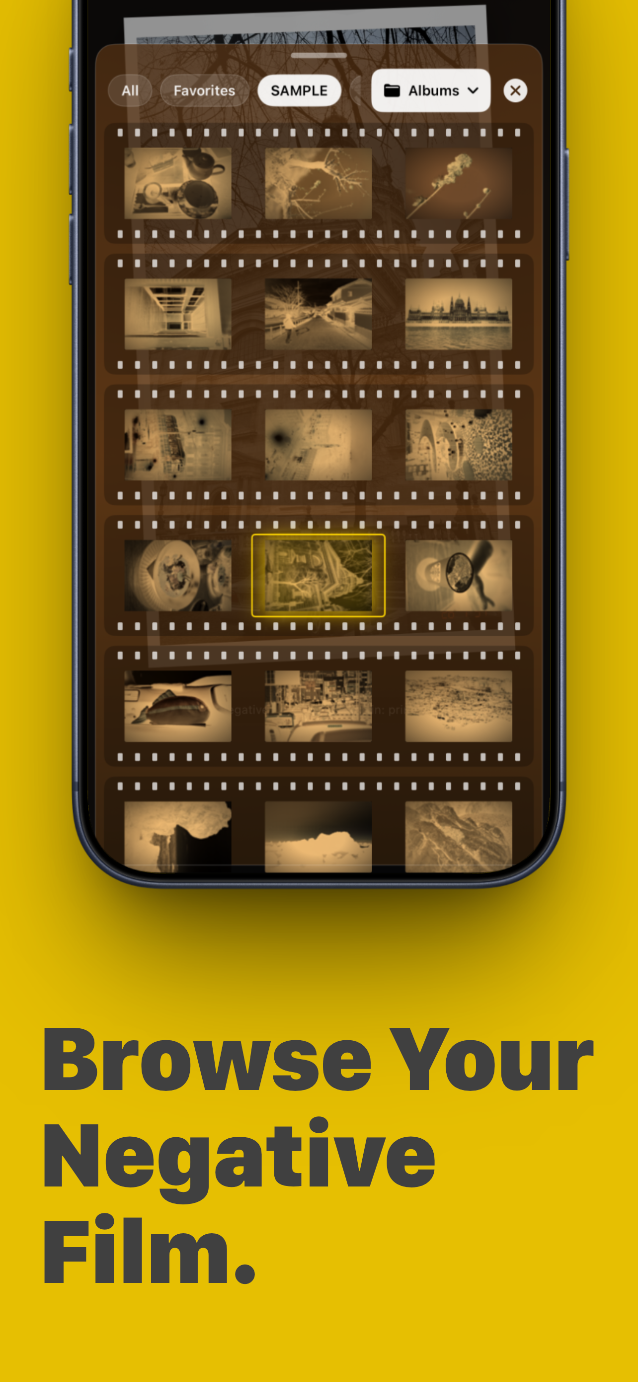Filmic Photo gallery image