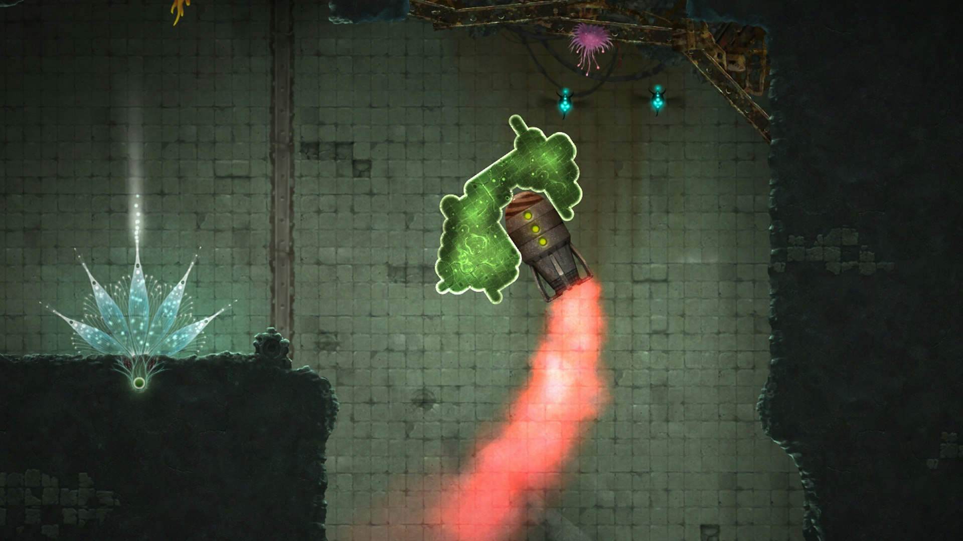 Mushroom 11 gallery image