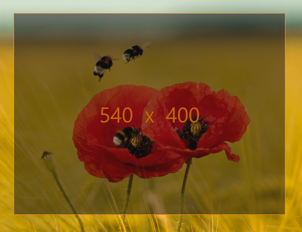 RocketClip gallery image