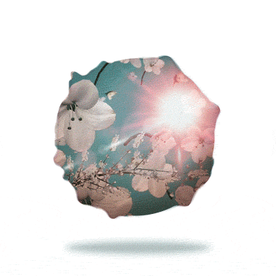 59623d8e-27ea-45e7-942f-8dd82f1d5cef.gif