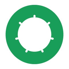 CNO
