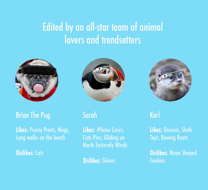 Cute Factory gallery image