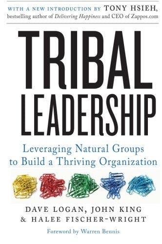 Tribal Leadership media 1