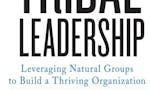 Tribal Leadership image