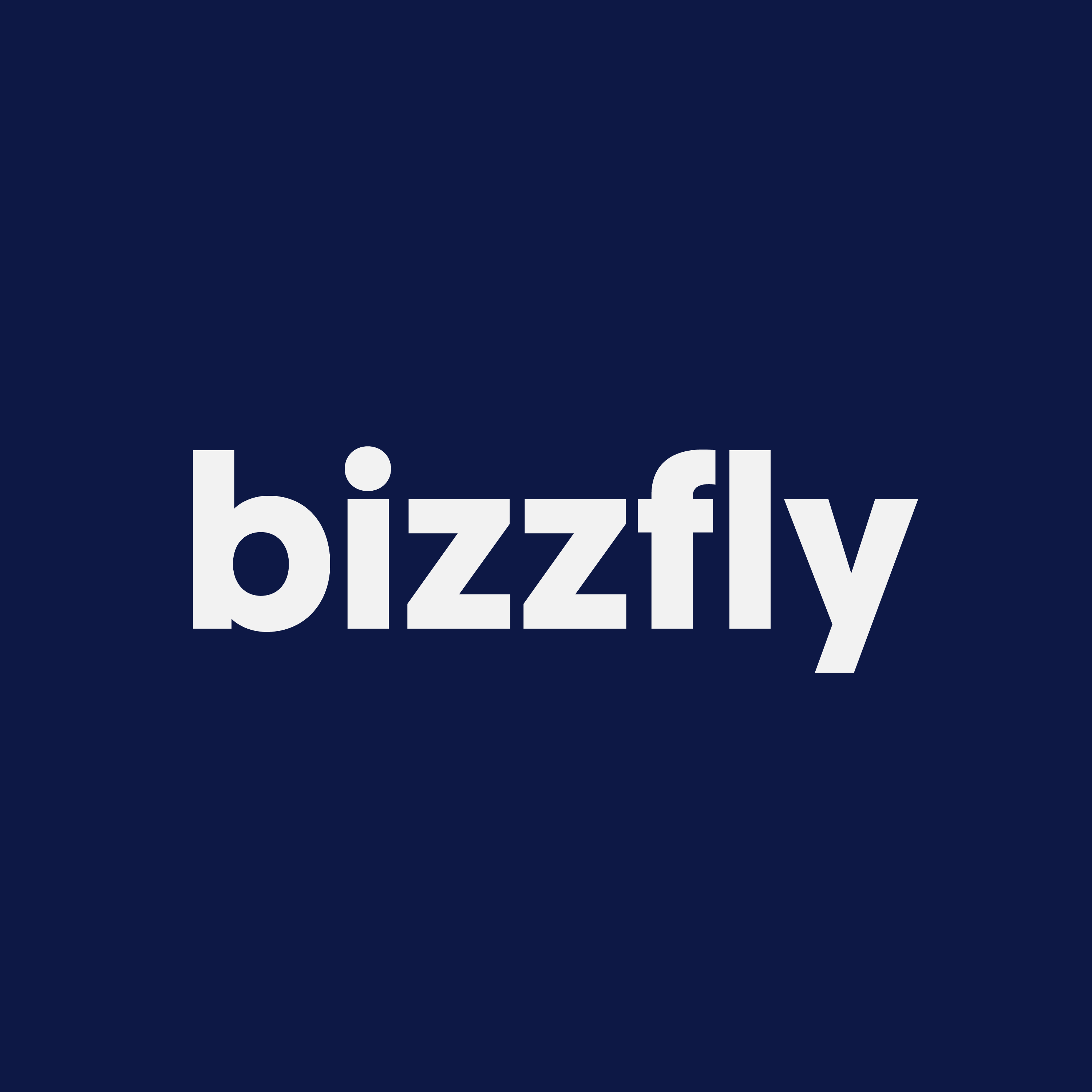 Bezzfly