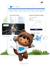 Salesforce Marketing Cloud Intelligence gallery image