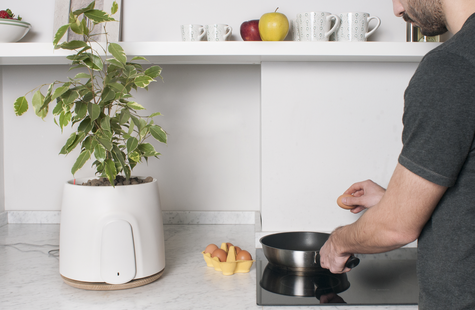 NATEDE gallery image