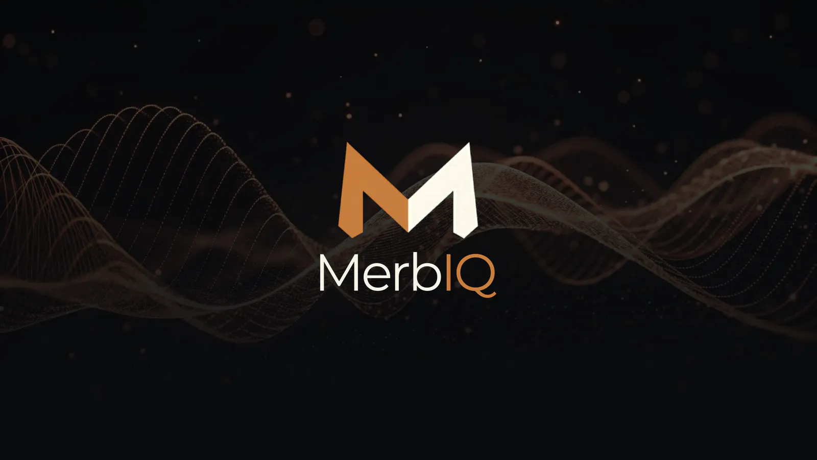 MerbIQ gallery image