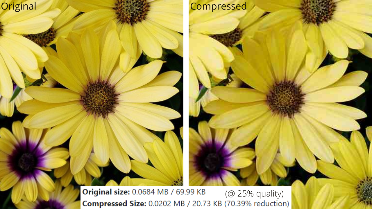 Optimizador JPEG media 1