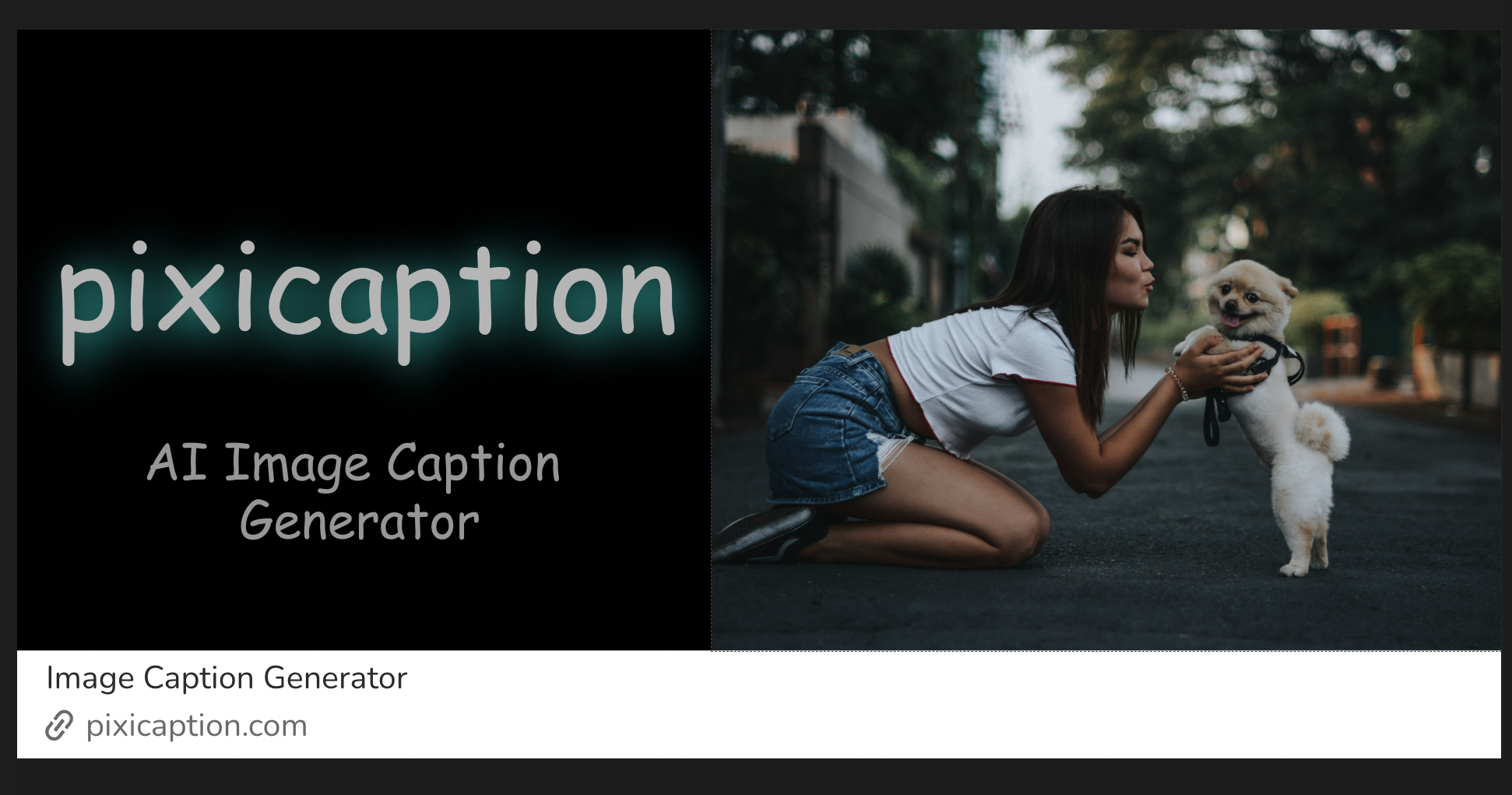 Pixicaption
