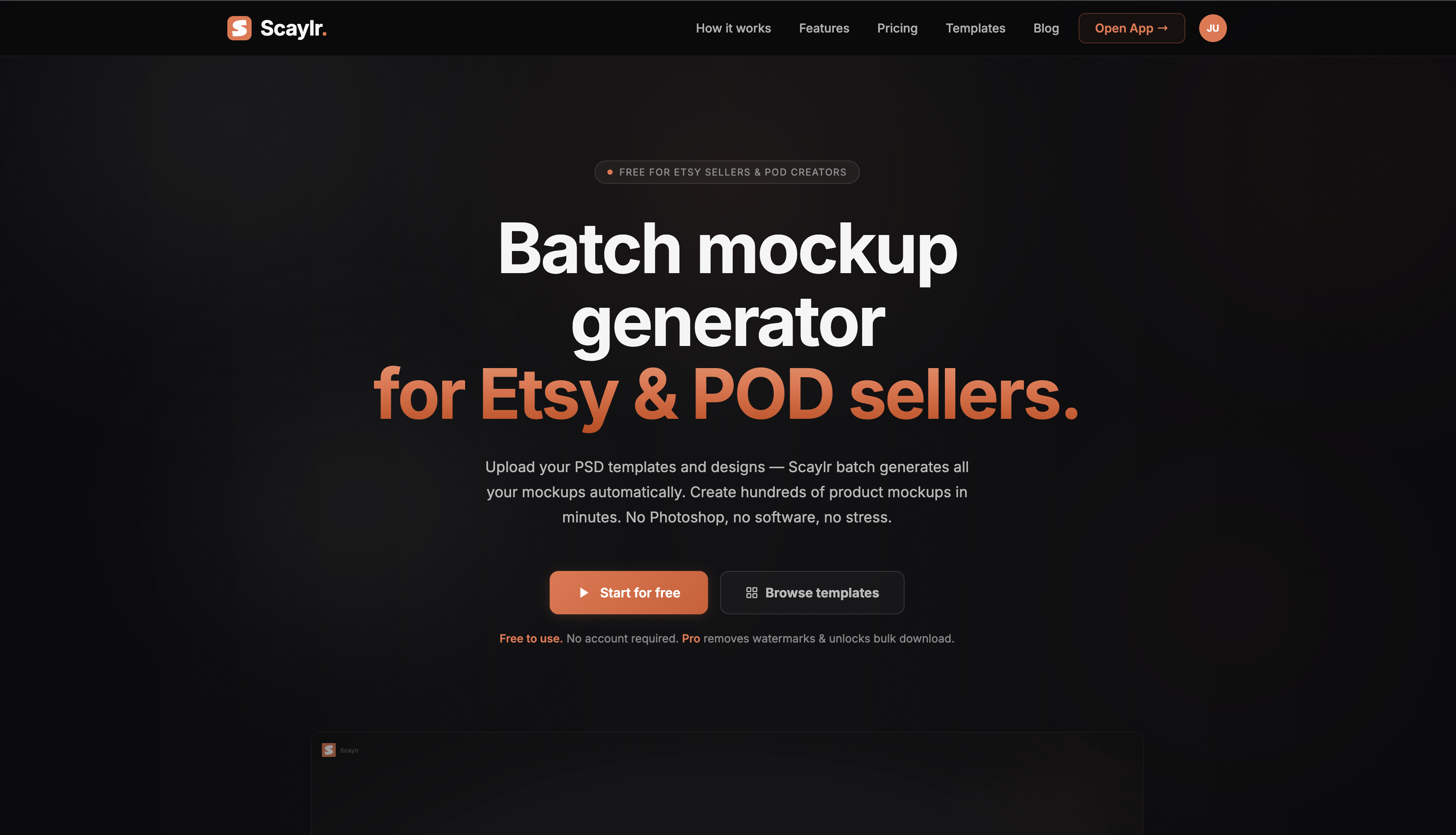 Scaylr gallery image