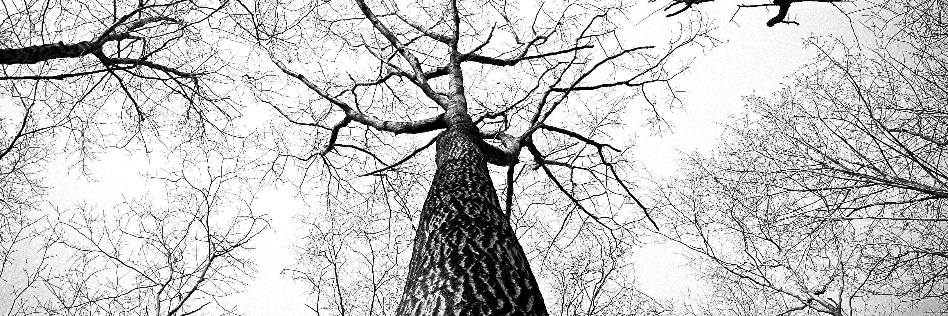 boaz saragossi cover