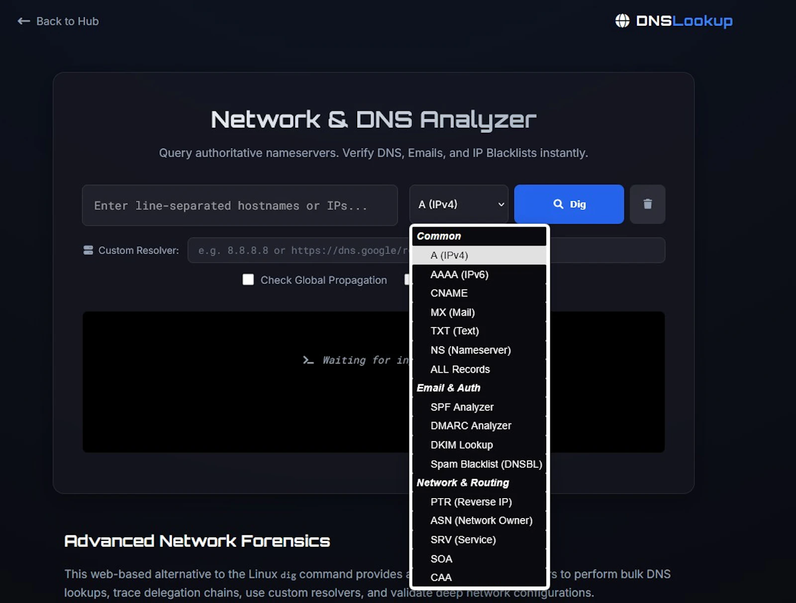 DNS Lookup & Dig Tool screenshot 3