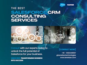 Tenetizer Salesforce Integration Product gallery image