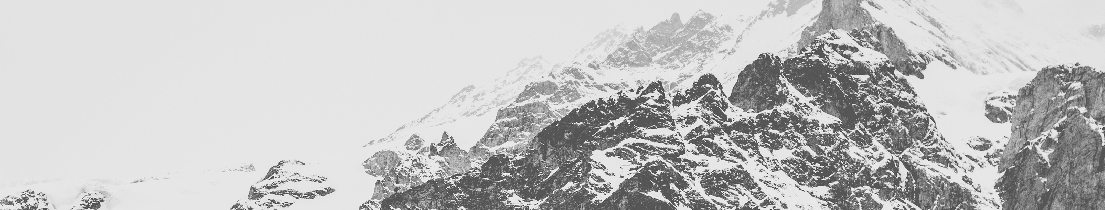 Partnering for Success gallery image