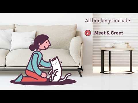 Cat in a Flat gallery image