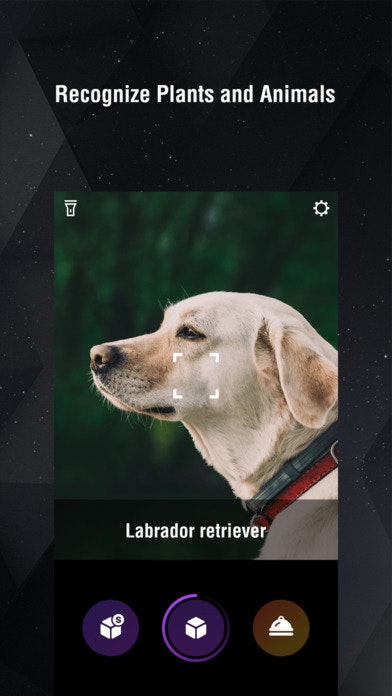 Toolwiz Eyes gallery image