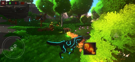 Foxy Arena | MLArts gallery image