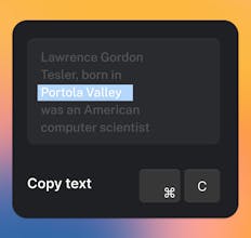Look up Pro - Web search on steroids gallery image