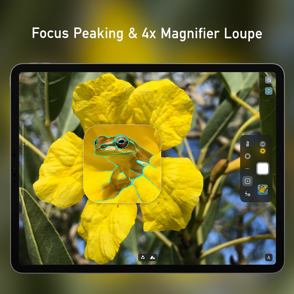 Camera M 4.0 gallery image