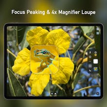 Camera M 4.0 gallery image