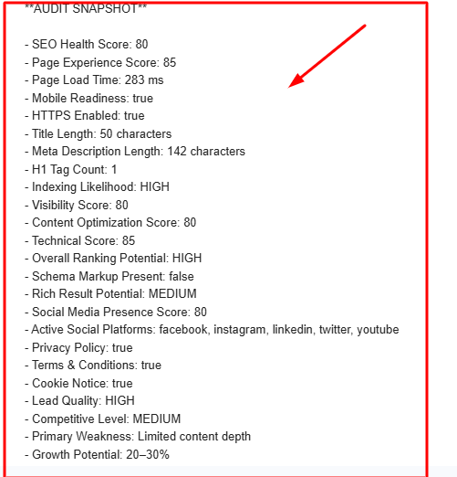 Website Audit System gallery image