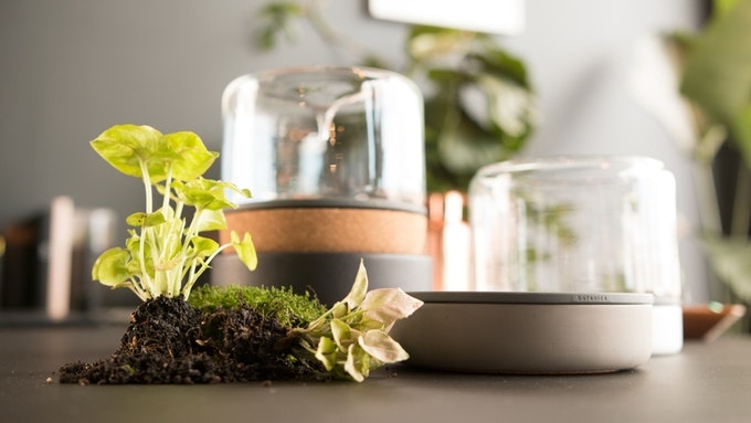 Sanctuary M gallery image