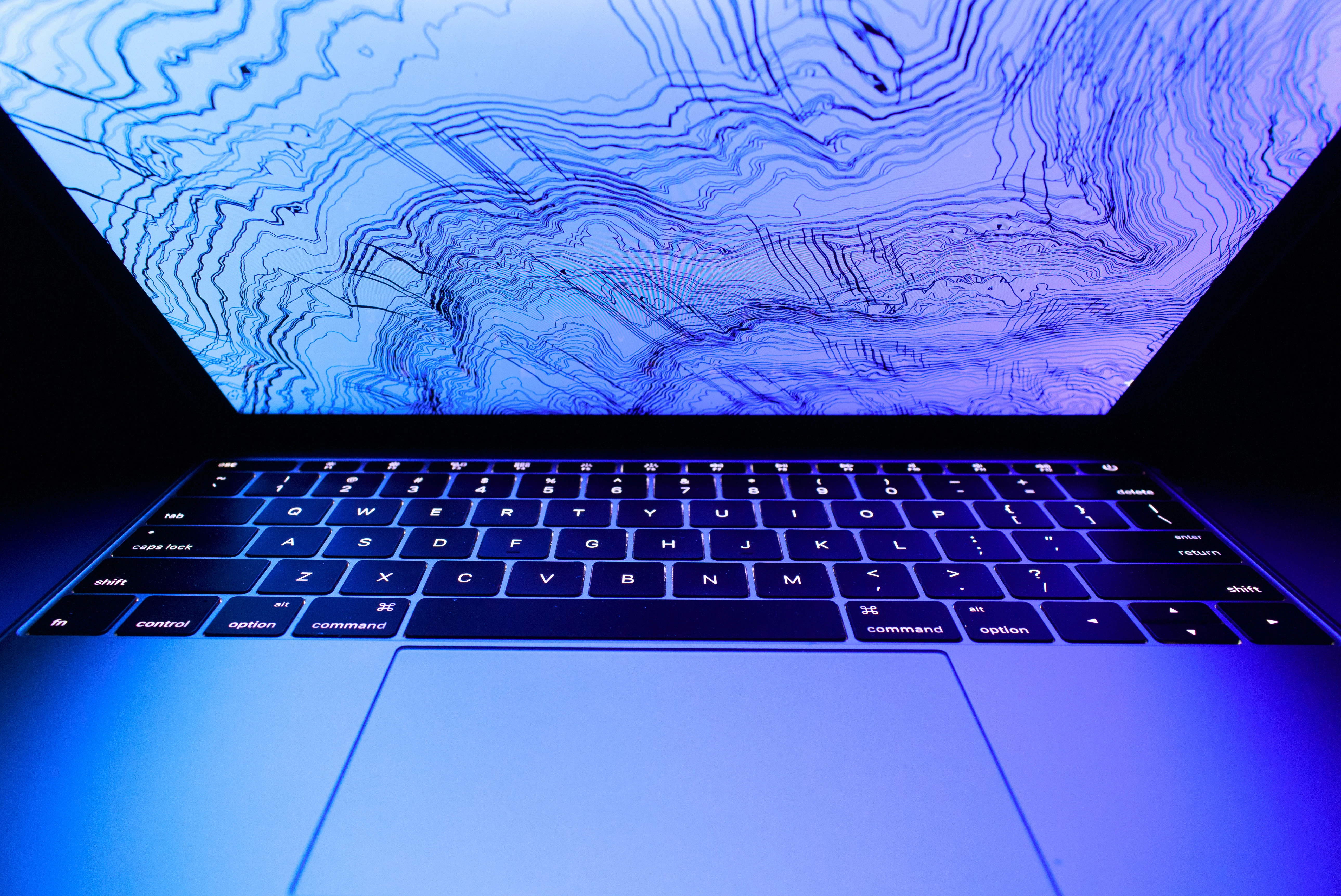 Cobwebs Technologies