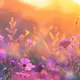 tipos de flores