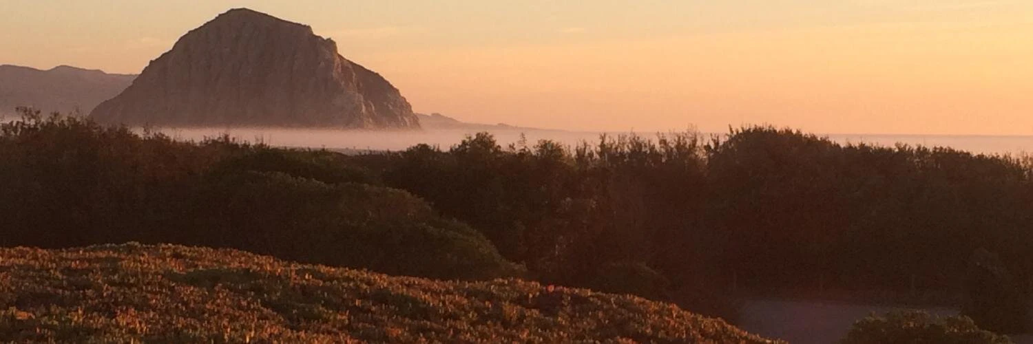 Brian de Haaff cover