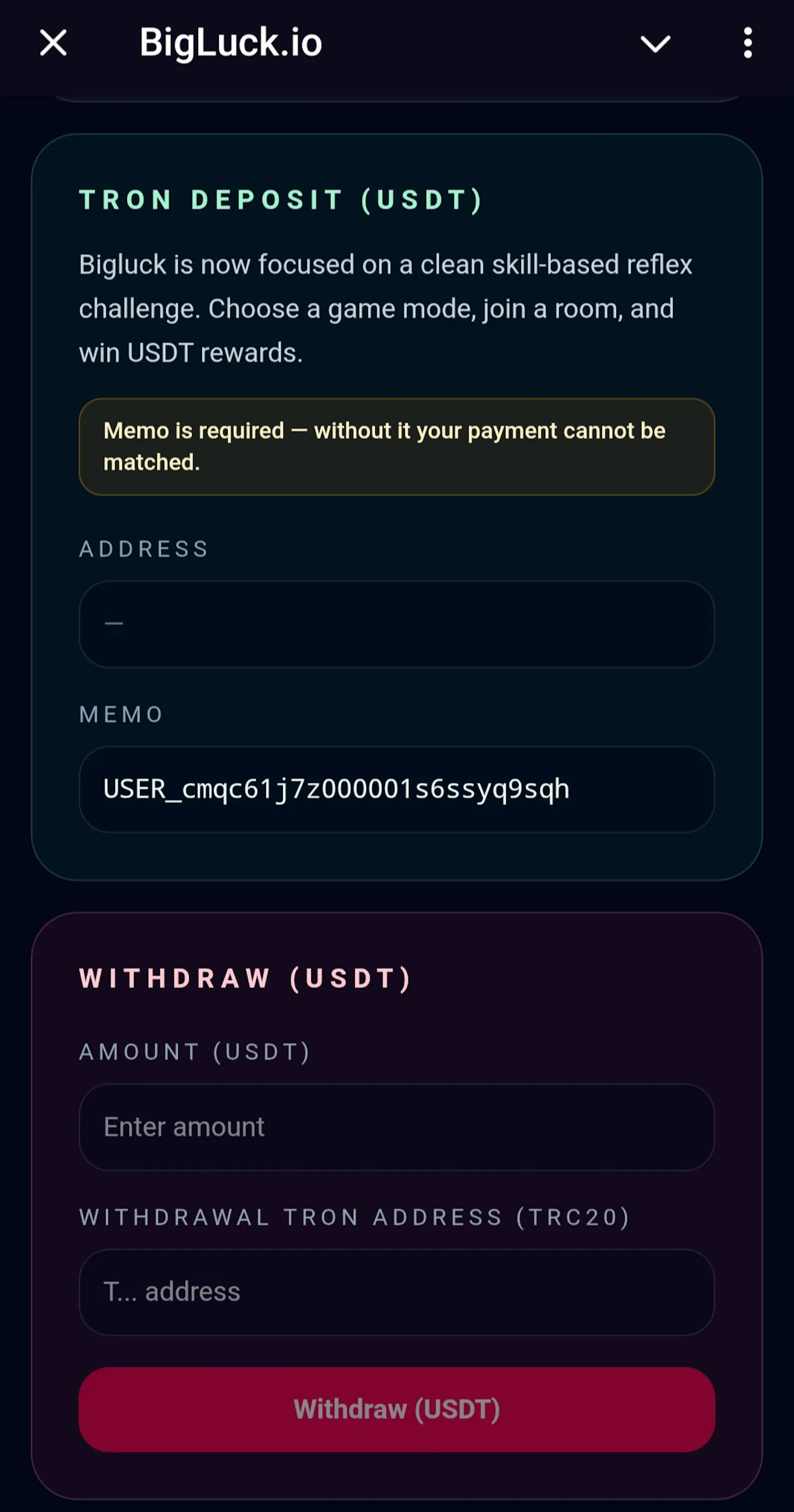 BigLuck screenshot 6
