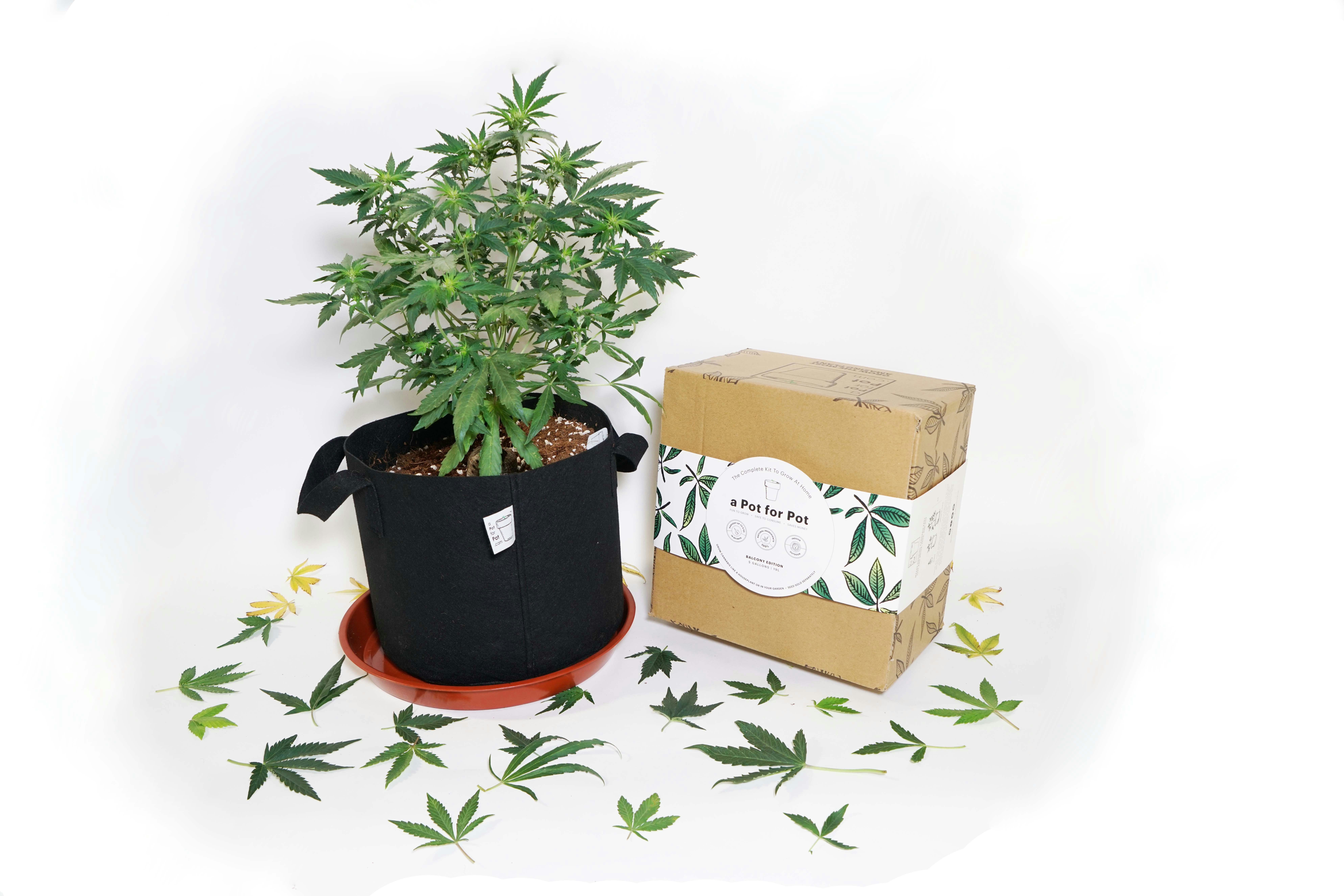 aPotforPot gallery image