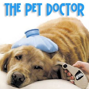 The Pet Doctor - Keeping your pets healthy & pet wellness - Scratching Deep into Pet Allergies
