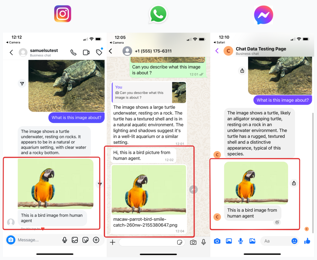 Dữ liệu trò chuyện 2.0 với giẻ giọng nói thời gian thực media 9