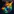 Local Media Player Pro