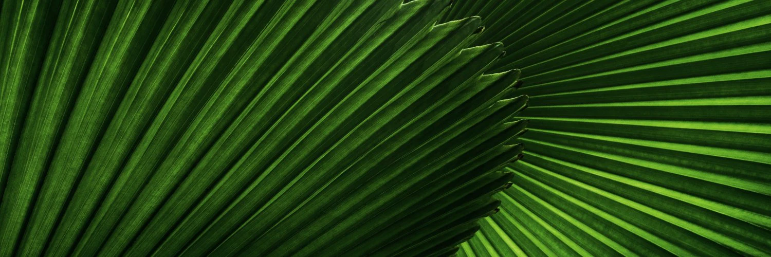 Charlton Roberts cover