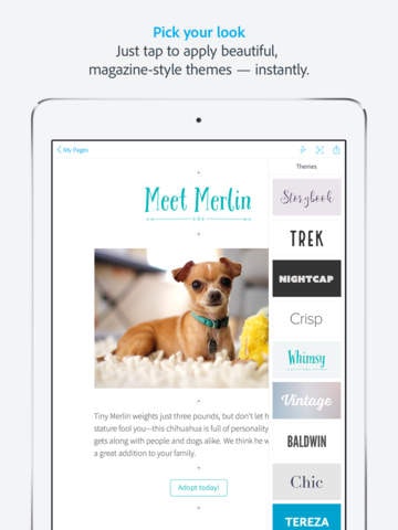 Adobe Spark Page gallery image