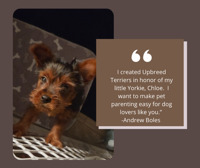Terriers Upbreed - การเลี้ยงดูลูกสุนัขทำให้ง่ายสำหรับคนรักสุนัขเช่นคุณ media 2
