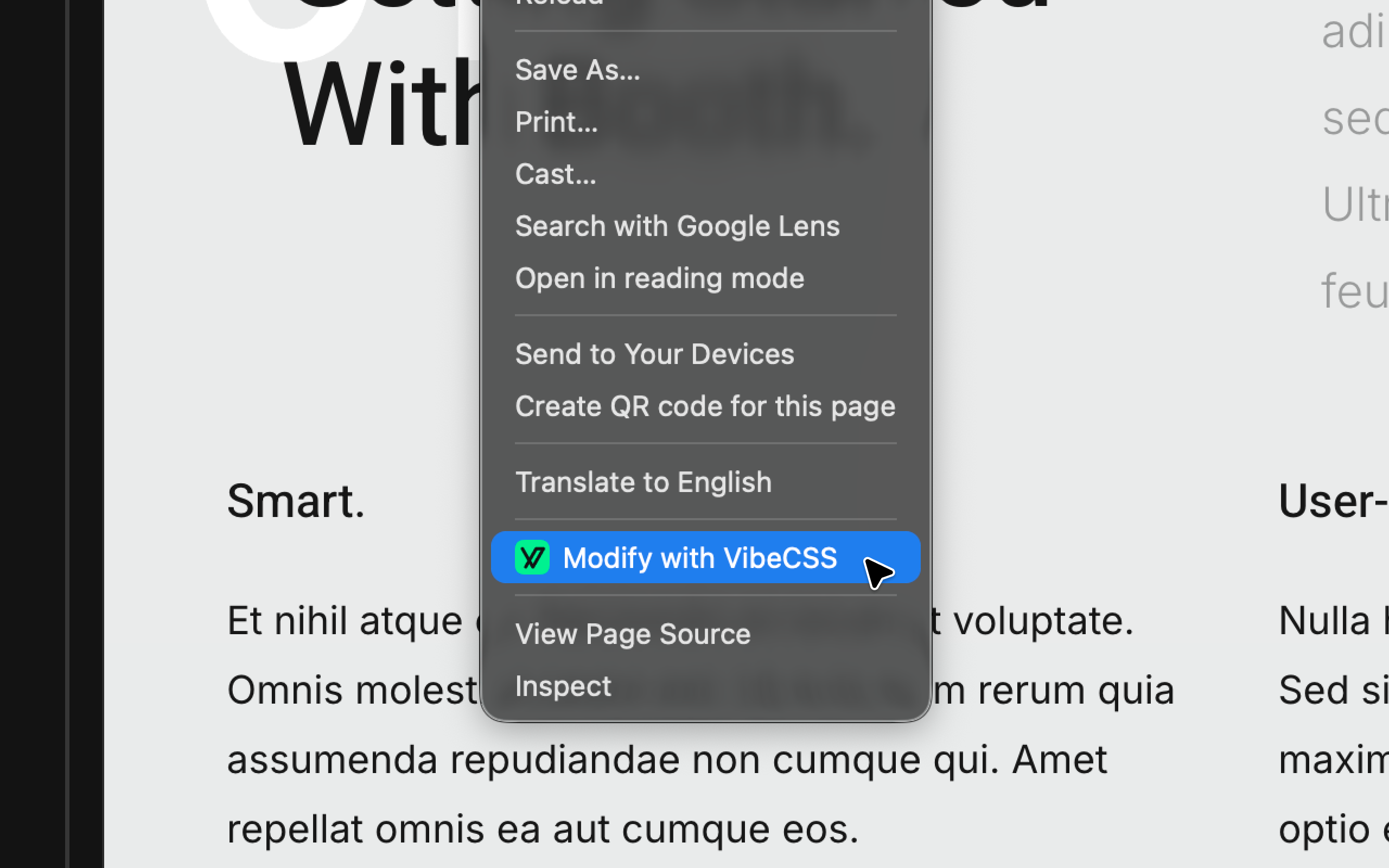 VibeCSS gallery image
