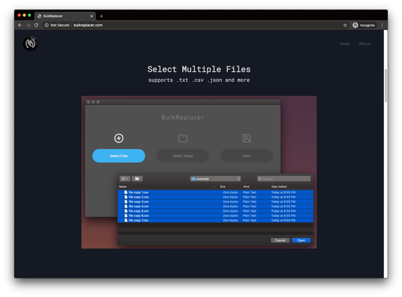 BulkReplacer gallery image